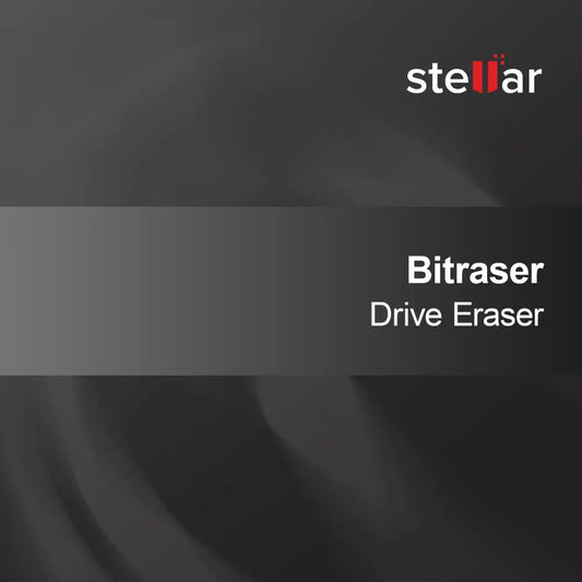 Bitraser stasjonsvisker