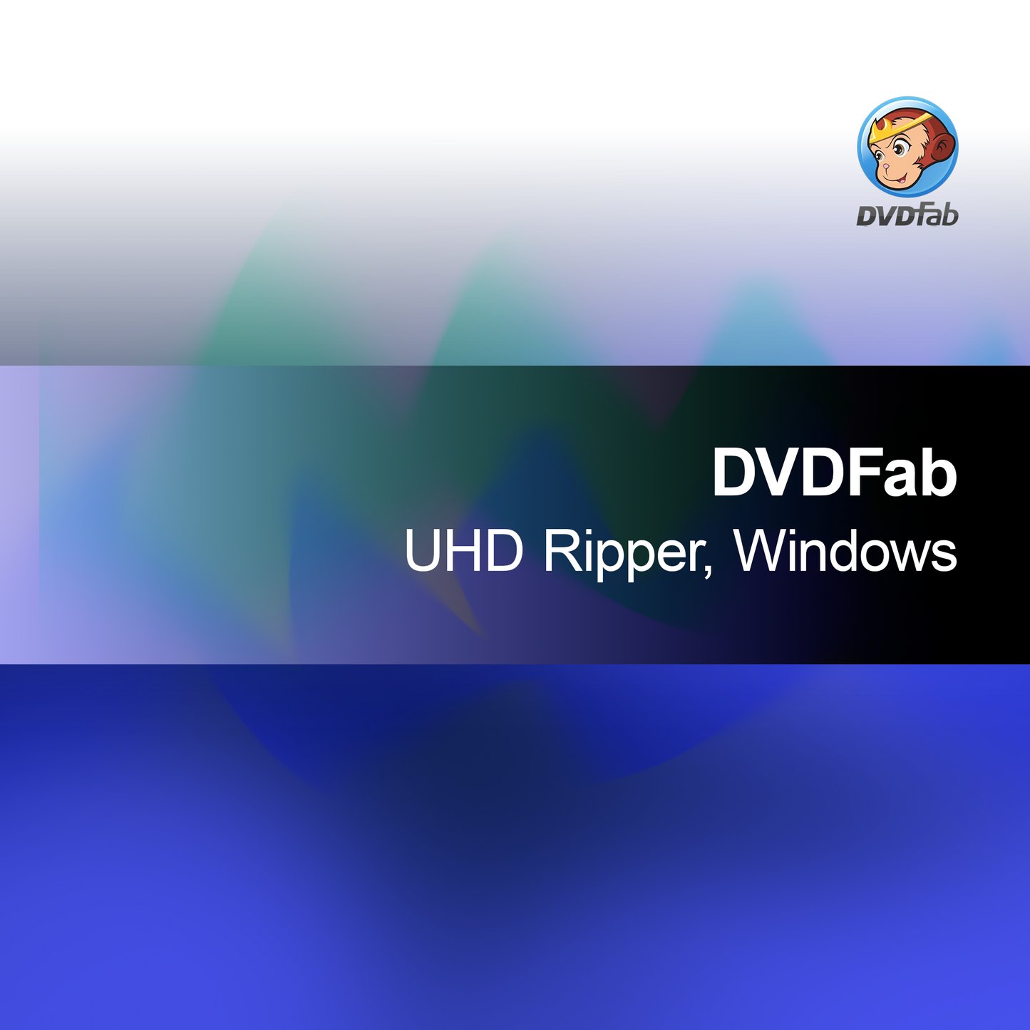 DVDFab UHD Рипър, Windows