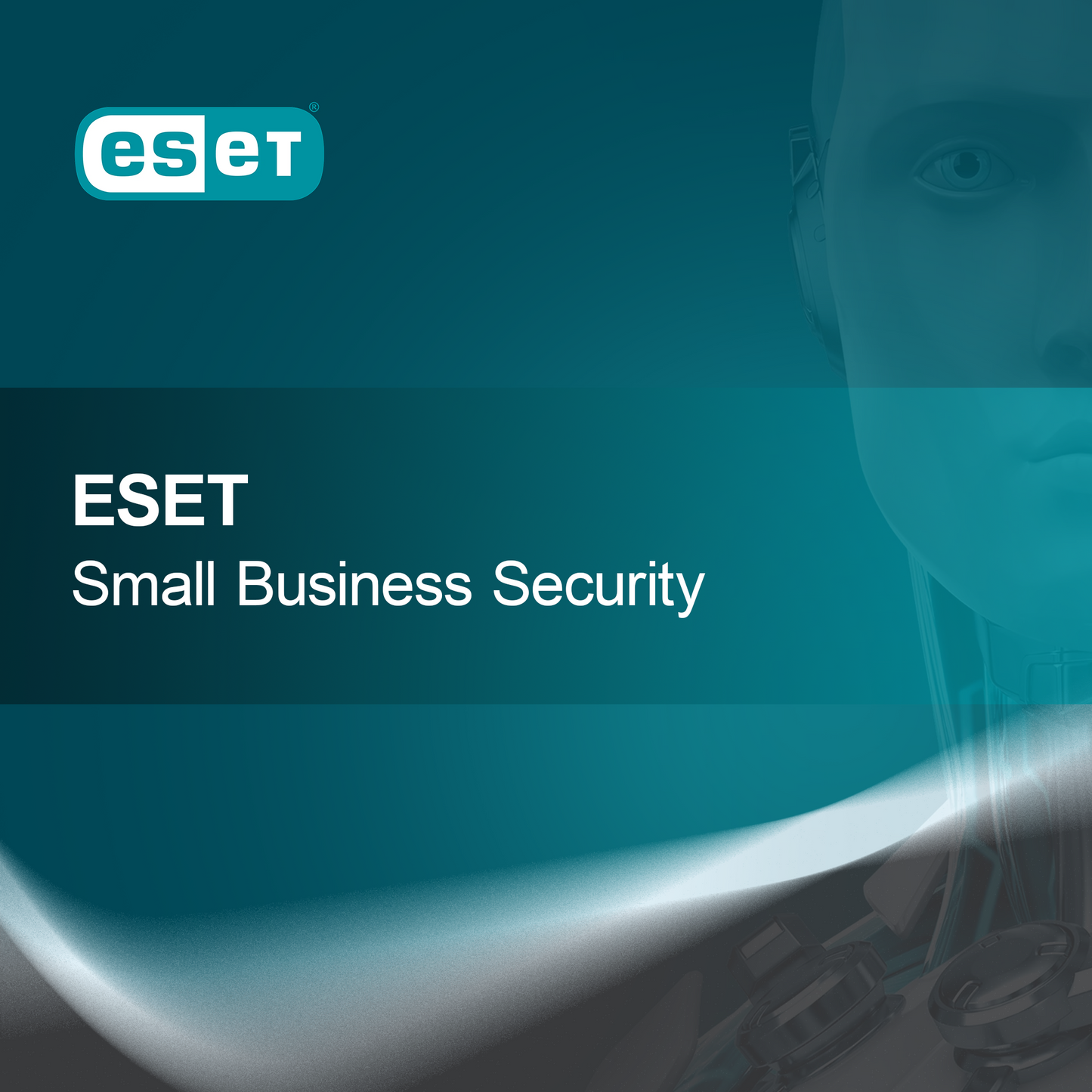 ESET Małe Bezpieczeństwo Biznesowe