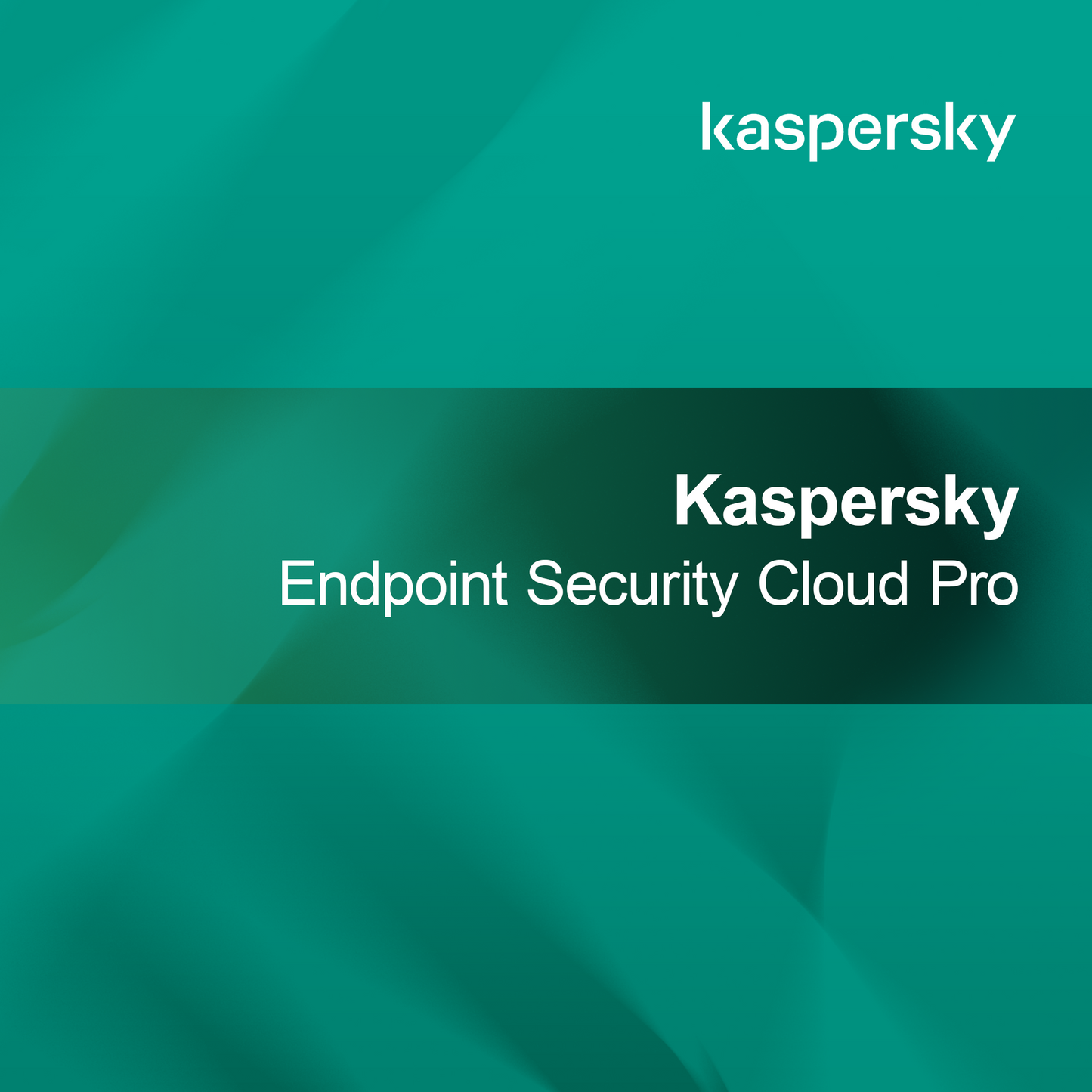 Kaspersky Uç Nokta Güvenliği Bulut Pro